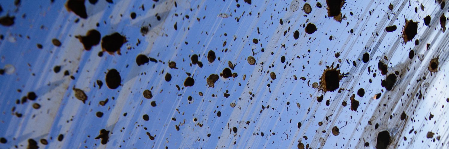 crookslife's profile banner image