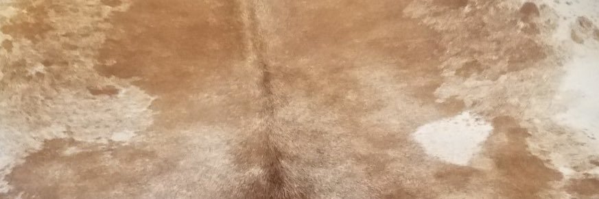 Reag banner