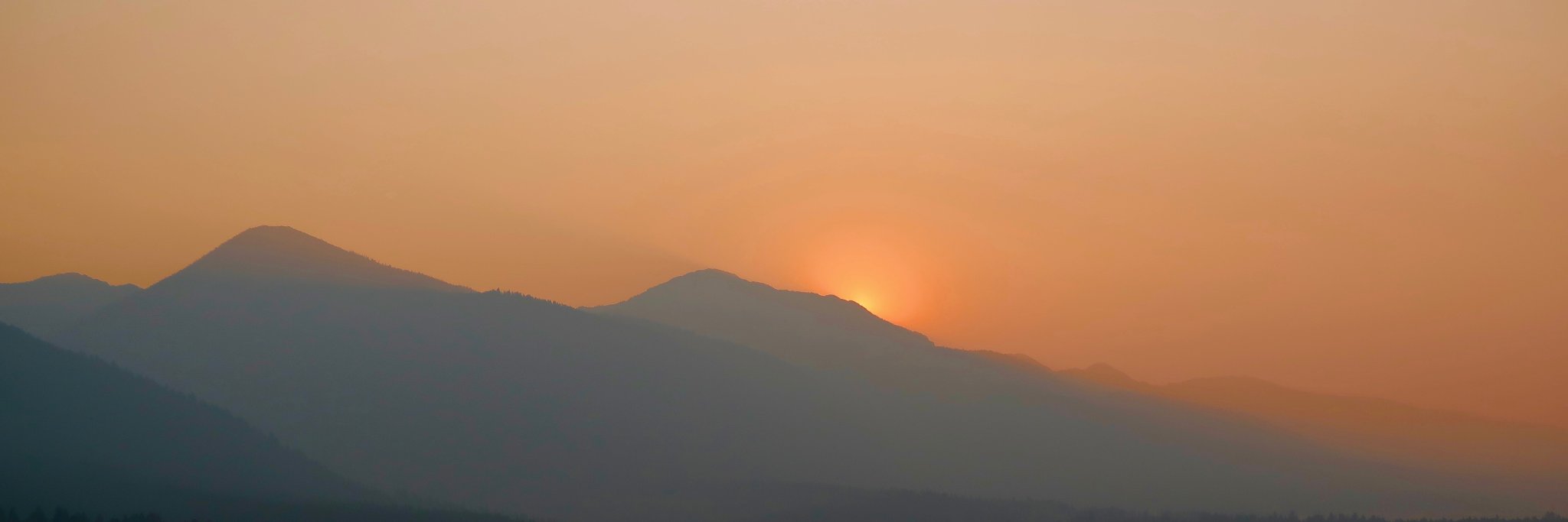 CNeistadt's profile banner image