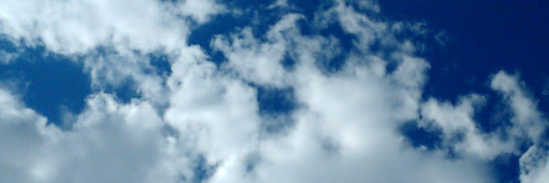 wheatln2's profile banner image
