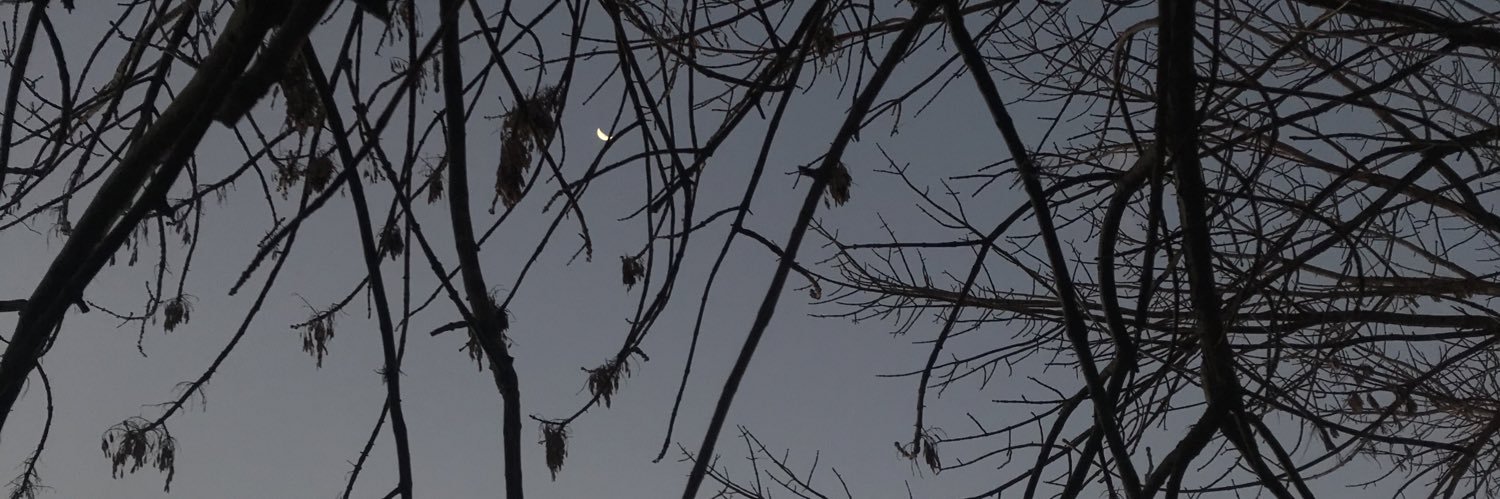 frontinovi's profile banner image