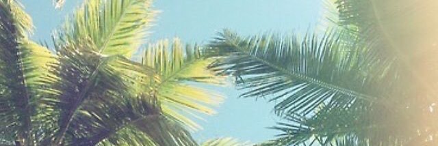 heatherbeee_'s profile banner image