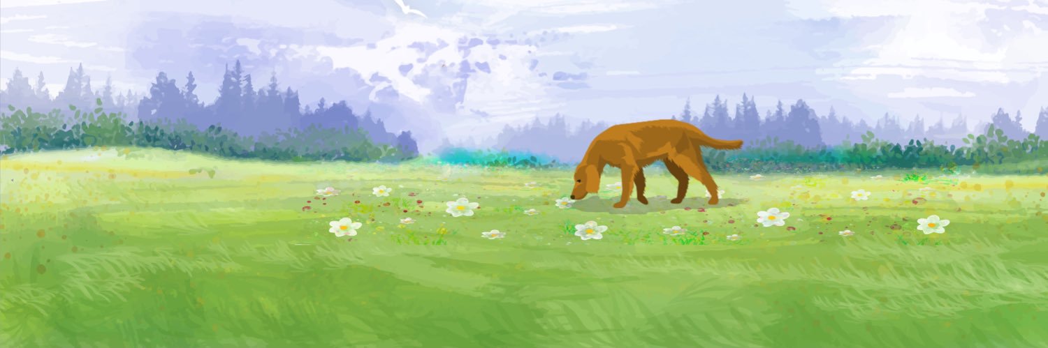 MrRD_sit's profile banner image