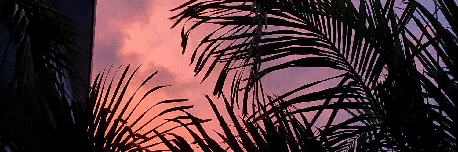 CalistaWillis_'s profile banner image