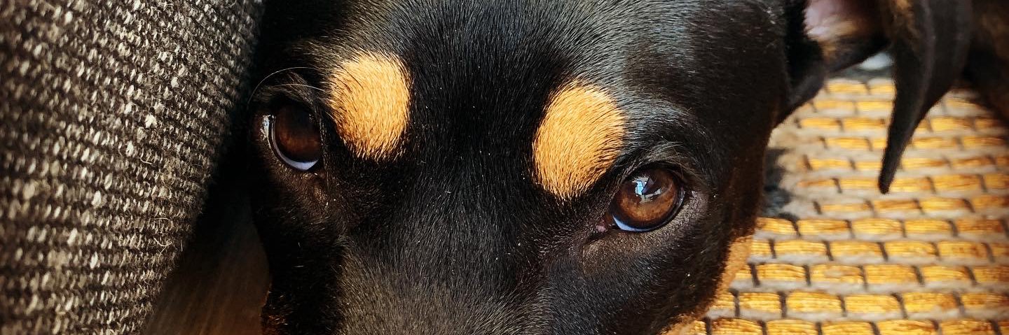 Lawrence_VSL's profile banner image