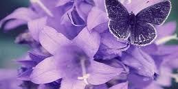 Delta_Dream7's profile banner image