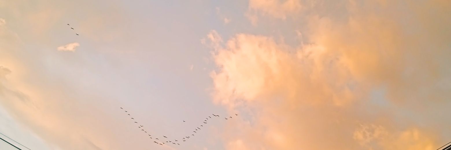 mxlody143's profile banner image