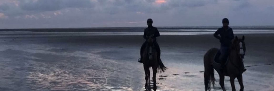 RA_2y's profile banner image