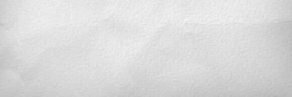 sayaariess's profile banner image