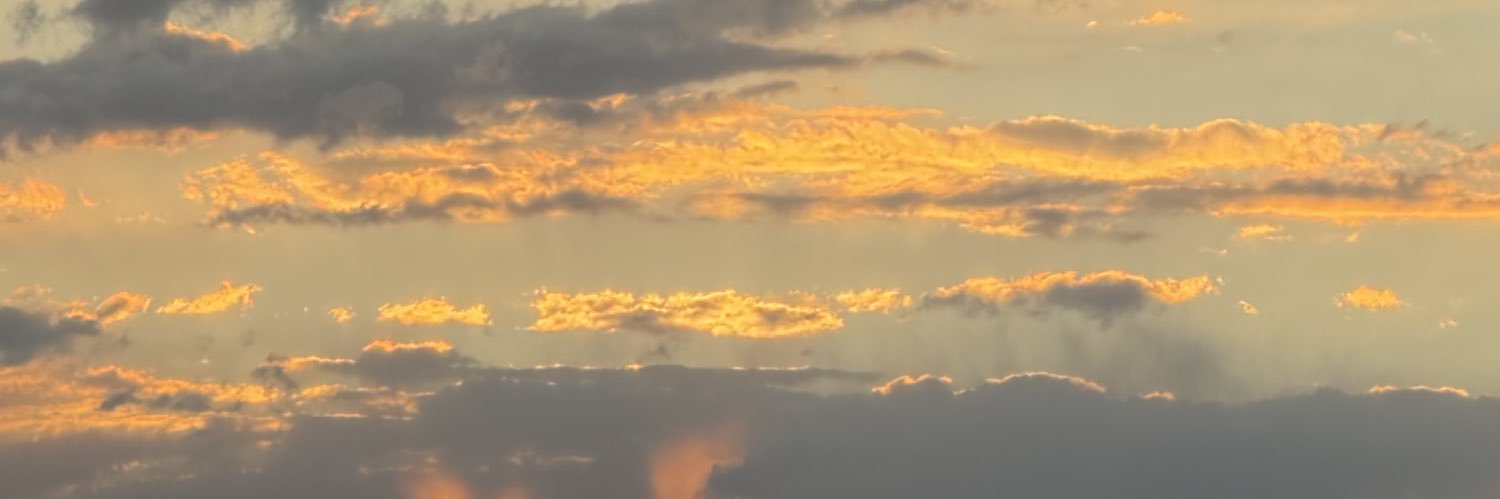 Max_LopezP98's profile banner image