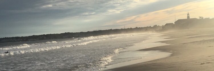 TaylorPfeifer's profile banner image