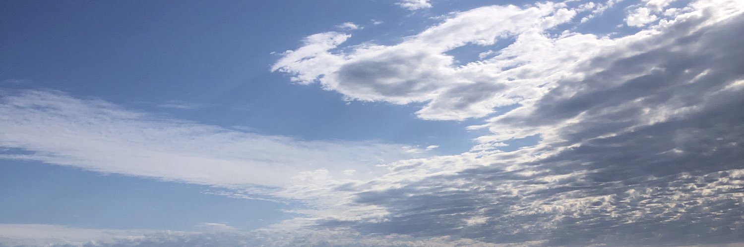 Steve 🦘🇦🇺 banner