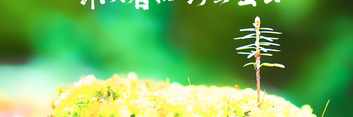 脸盲辉 banner
