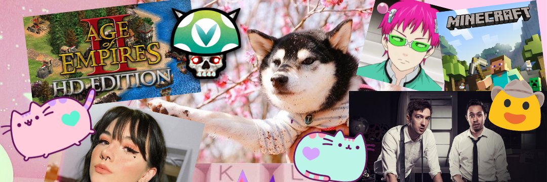 TheVampireBoas's profile banner image