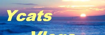 👽 Ÿcat§tacÿ 👽 banner