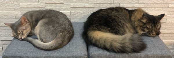 macococo Profile Banner