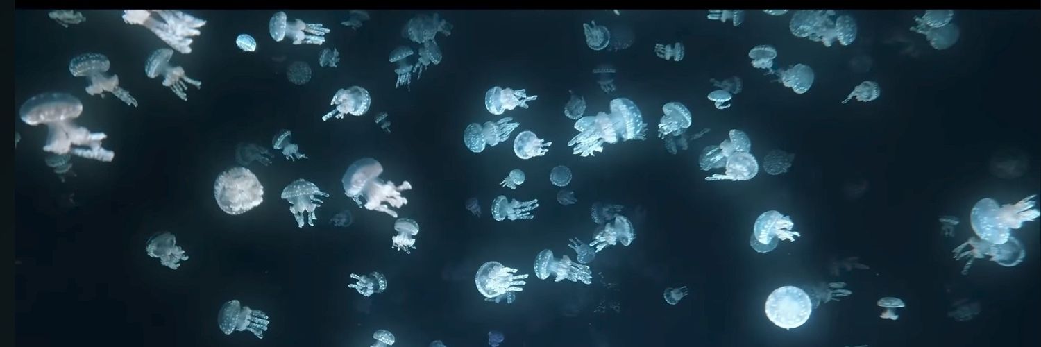 SnowLonely's profile banner image