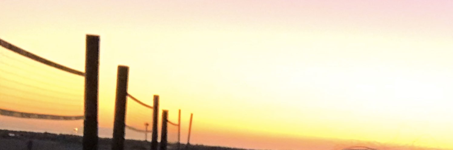 Dan_Alpern's profile banner image