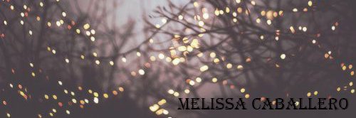 Melisk8's profile banner image