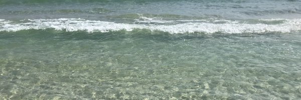 pcbbrooks Profile Banner