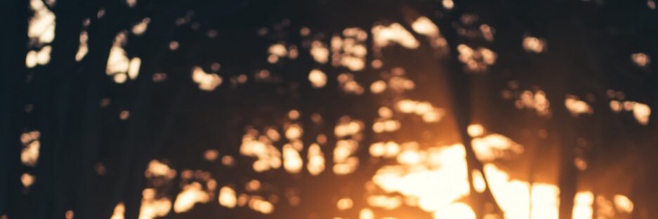 PankratovaJuly's profile banner image