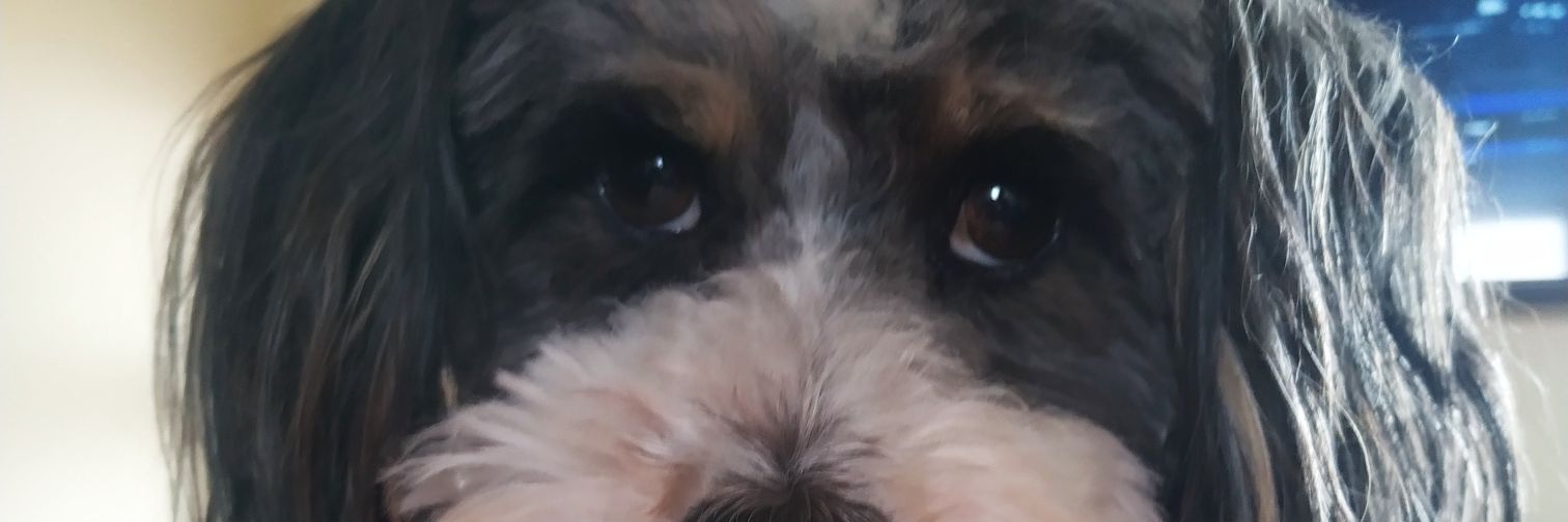 ezemonteblack's profile banner image