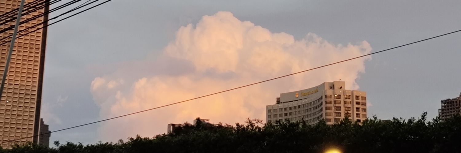 np1999_'s profile banner image