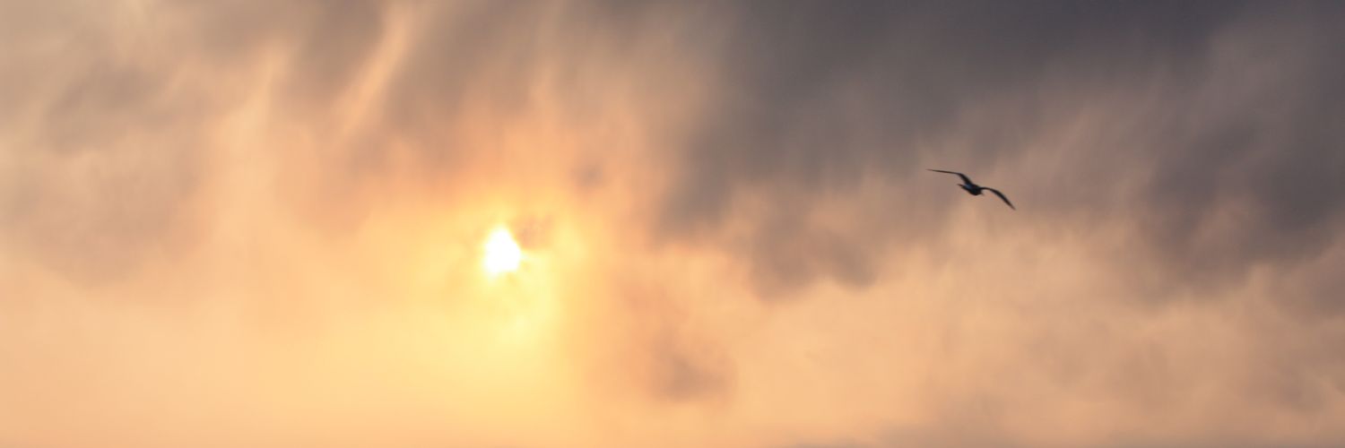 ❤집지키는마녀❤ banner