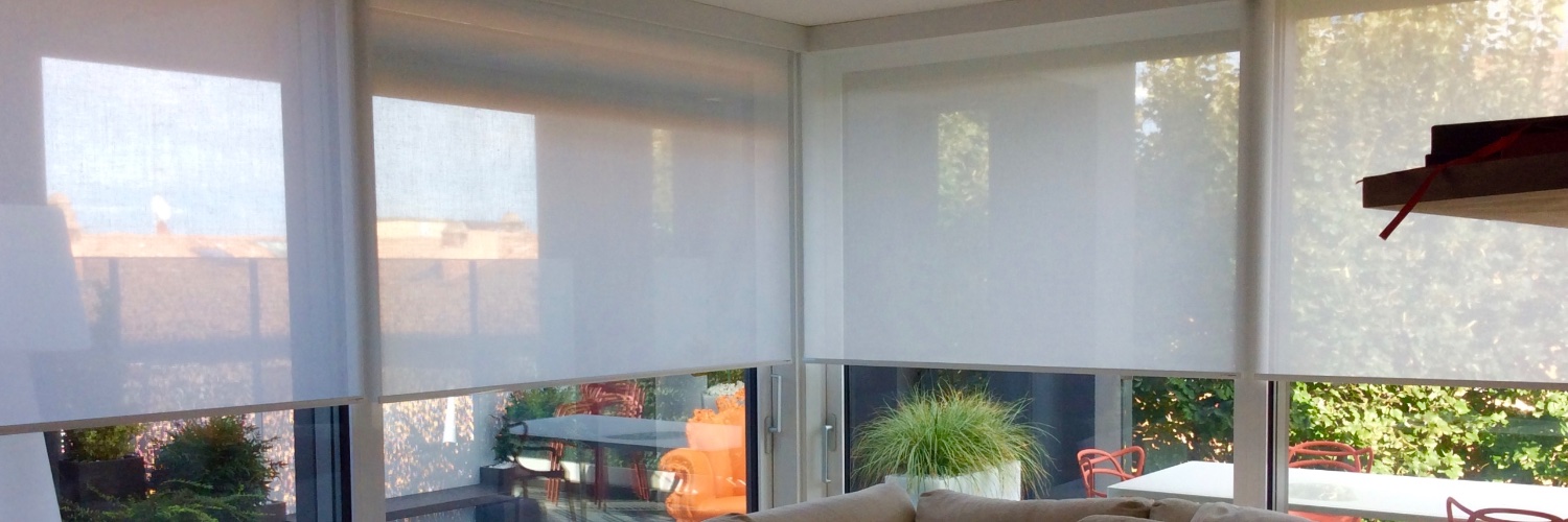 guarneritende's profile banner image