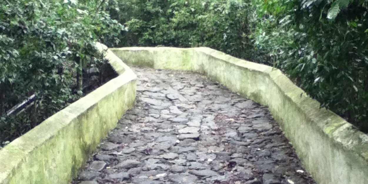 roberson Card banner