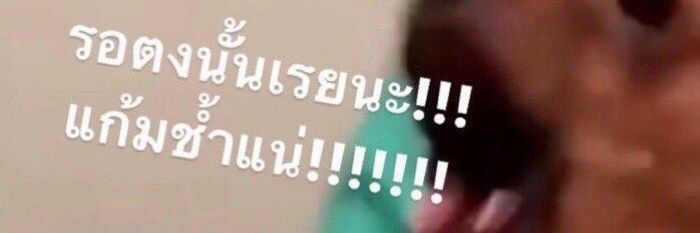 ILYP banner