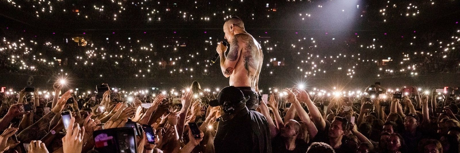 Austin Gonzalez banner