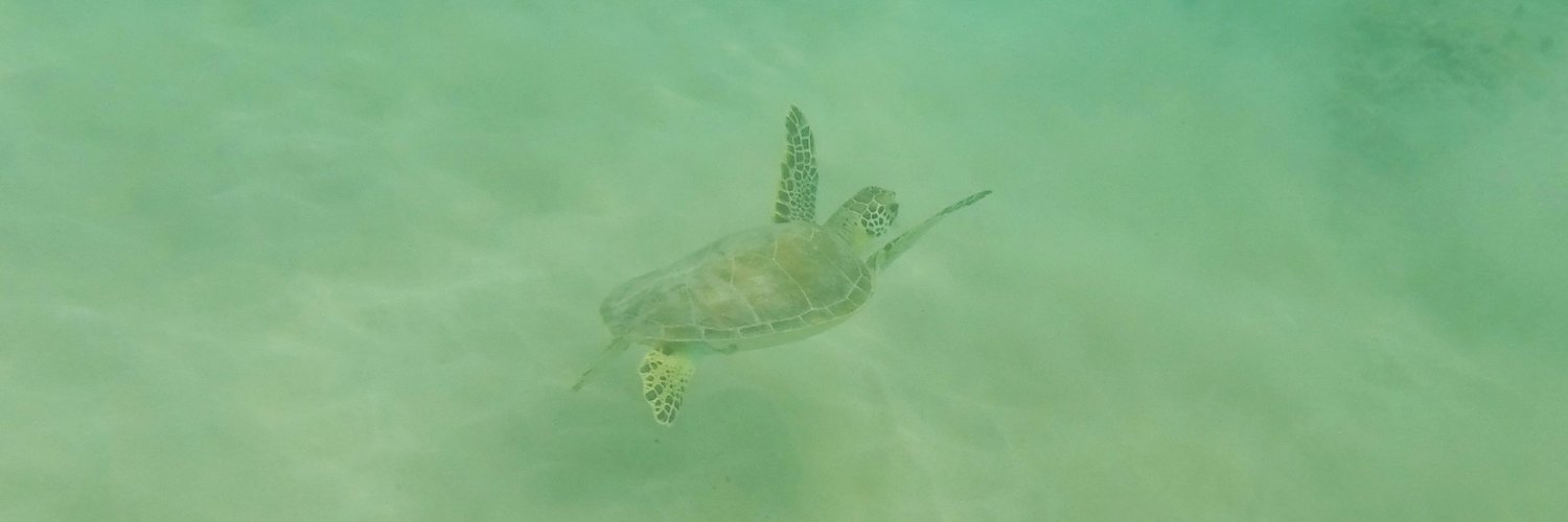 Dan Lyke (parody) banner