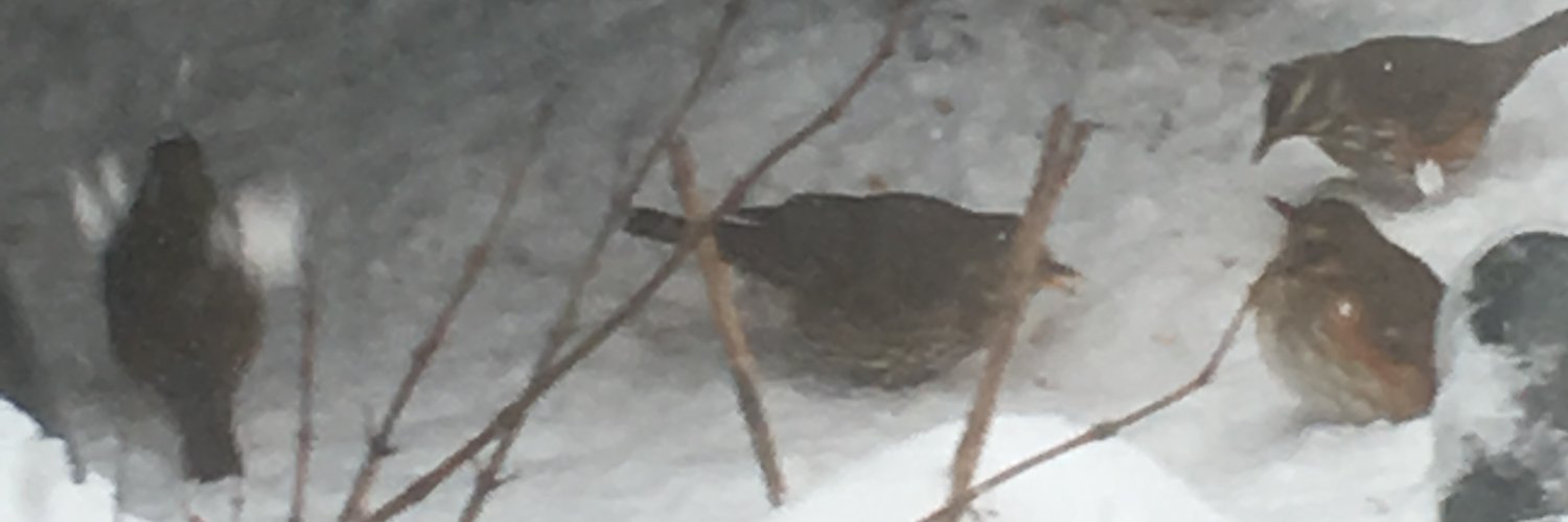 John Calderhead banner