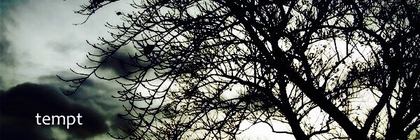 gen524's profile banner image
