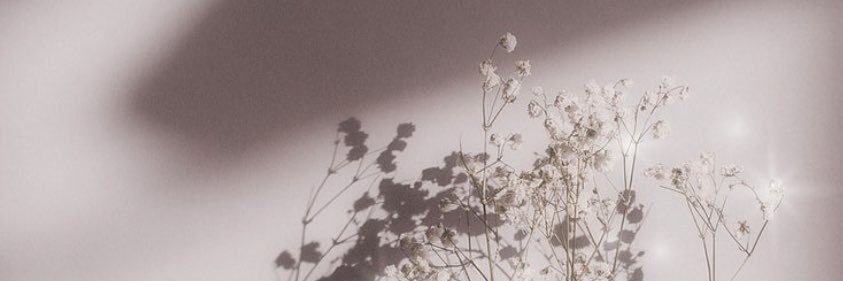 ___ashanti_'s profile banner image