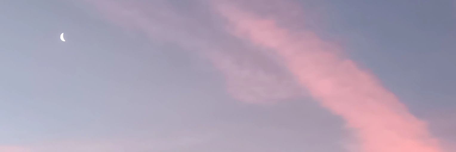 phillips_helene's profile banner image