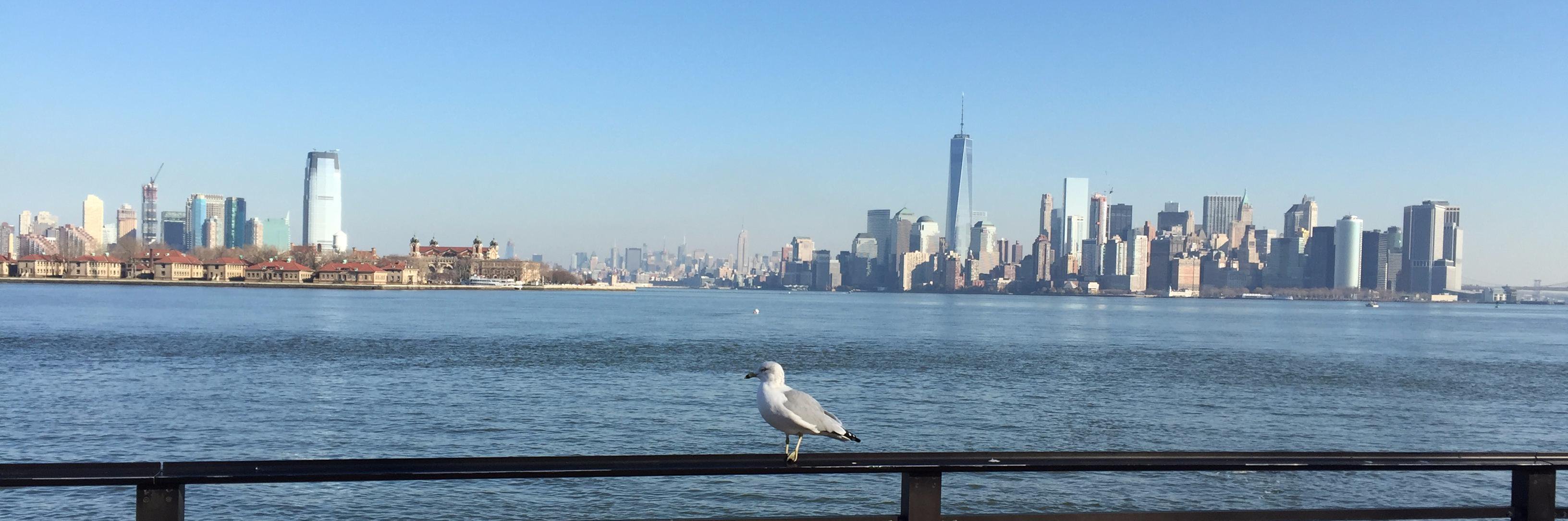 ellensheng's profile banner image