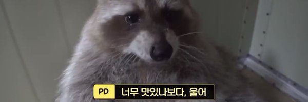 sshhaaak Profile Banner