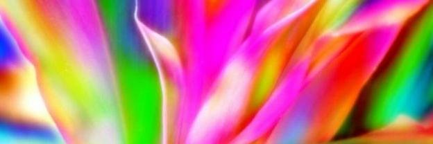 GUMA_S's profile banner image