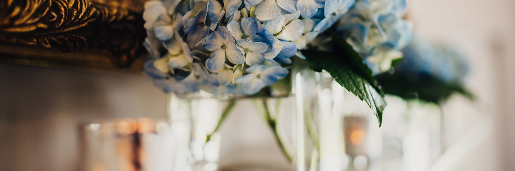 TernHillHall's profile banner image