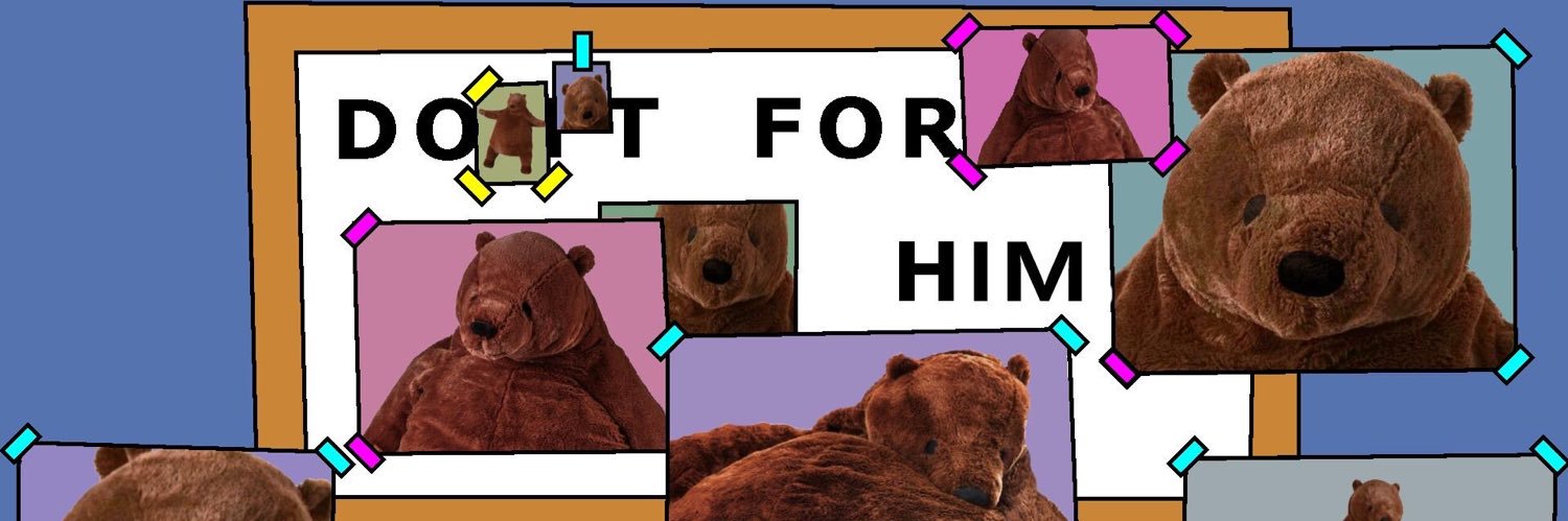 sacha banner