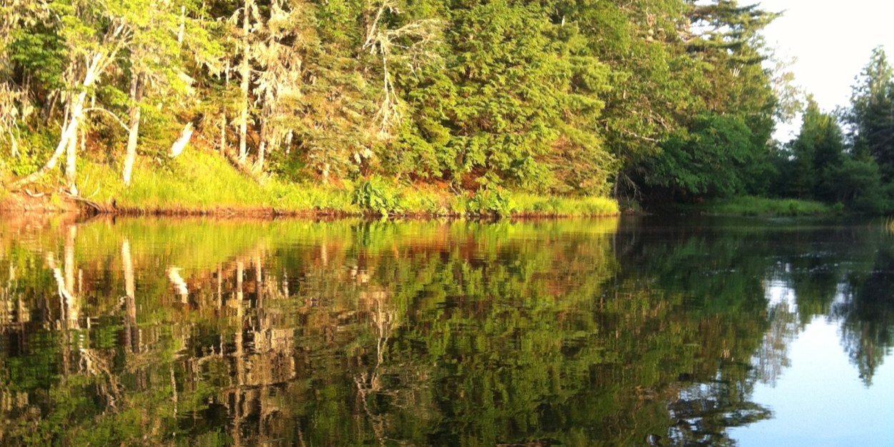 davechisholm's profile banner image