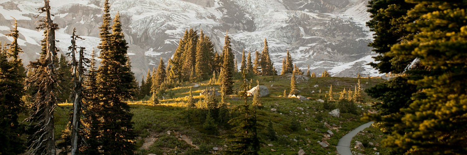 BJCrunch67's profile banner image