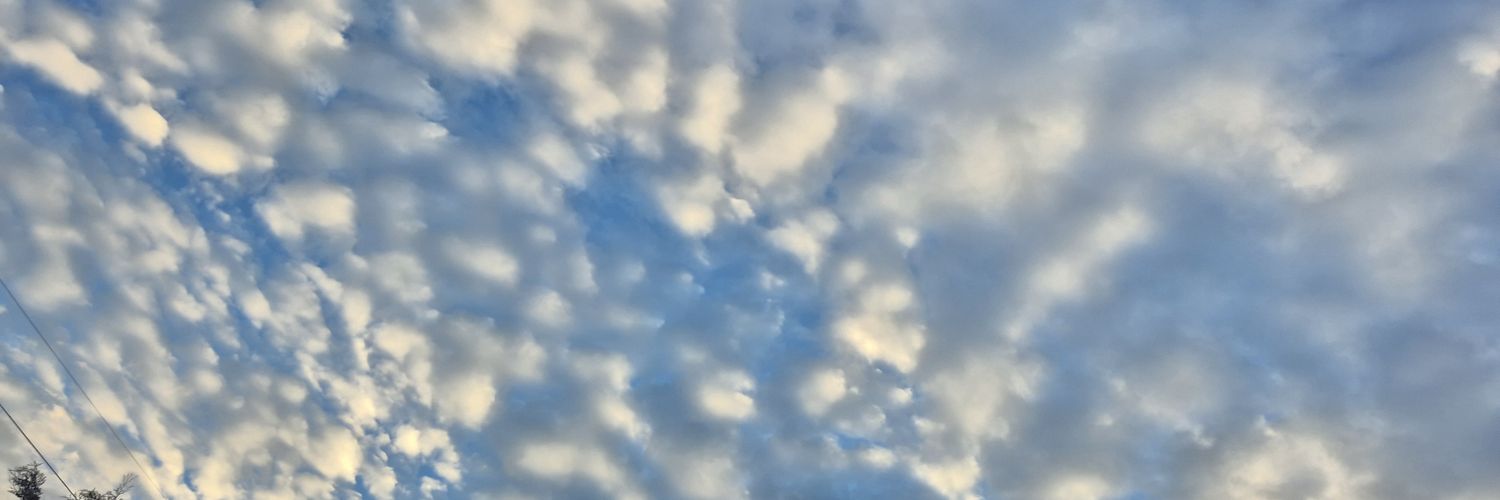 ndrrr_'s profile banner image