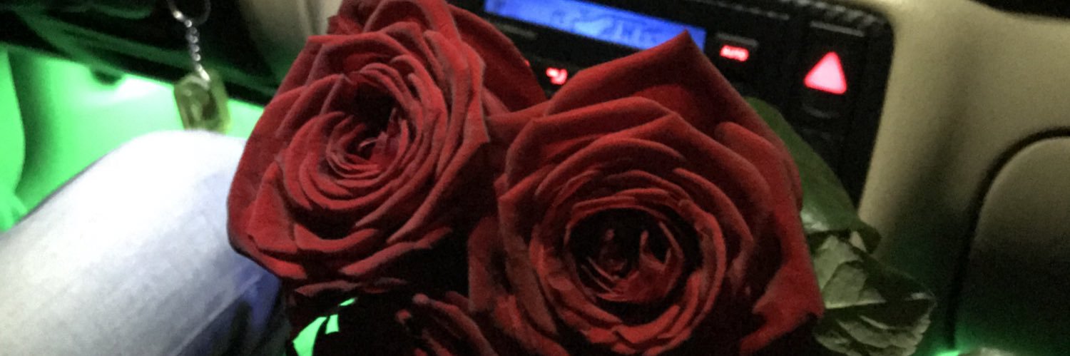 ingapatrusheva's profile banner image