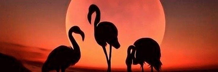 JuDeXM7's profile banner image