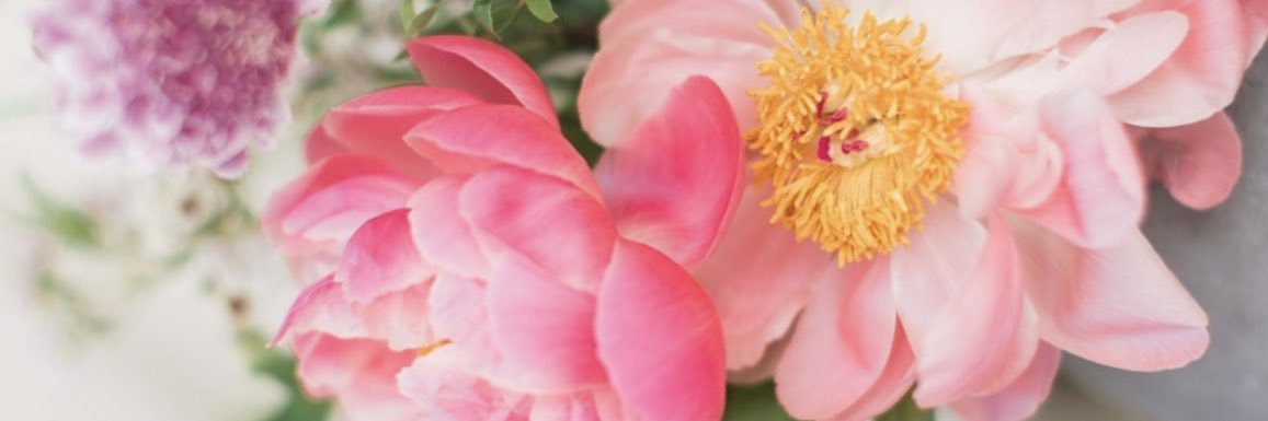 tmaxenty's profile banner image