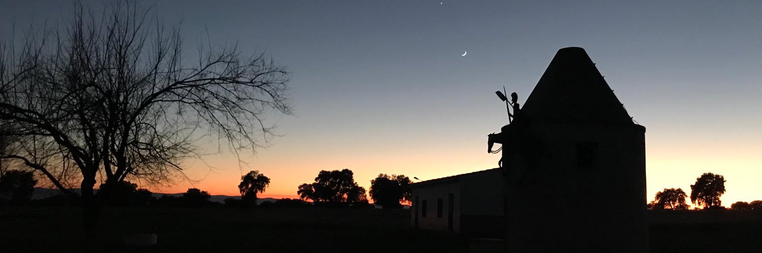 IreneAlbor11's profile banner image