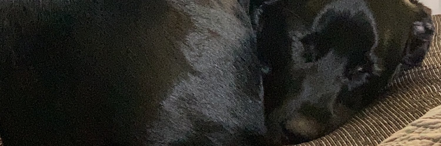 LetAnOwlIn's profile banner image